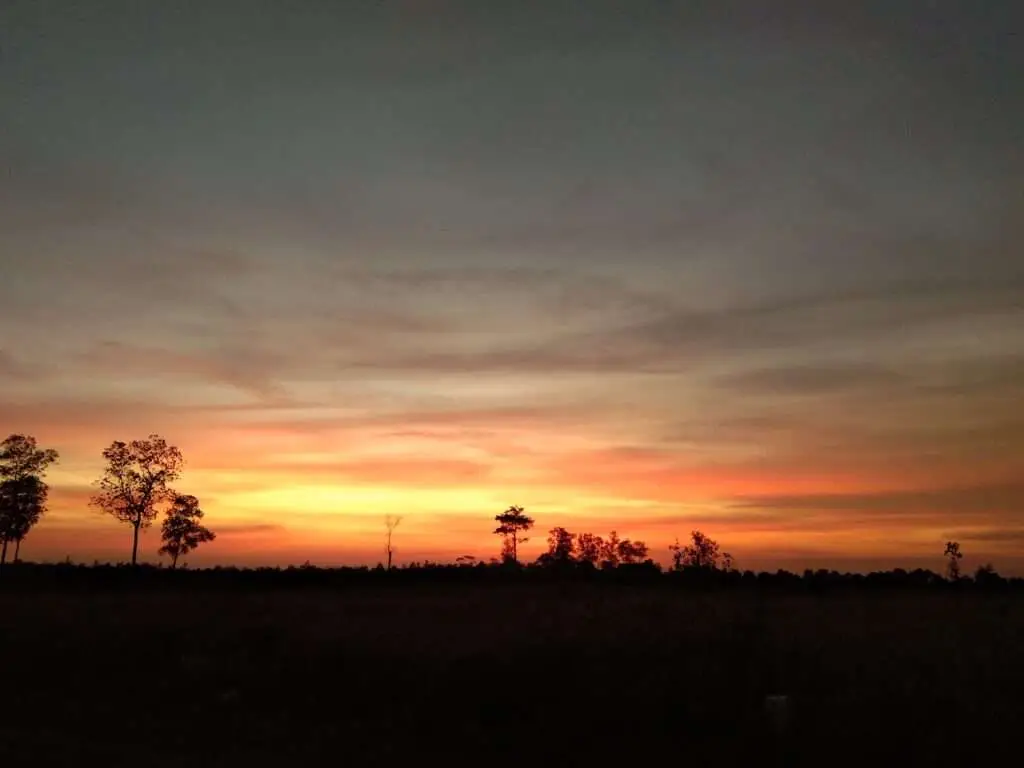Parque Nacional de Way Kambas 