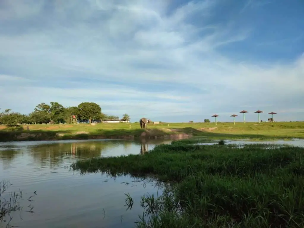 Parque Nacional de Way Kambas 