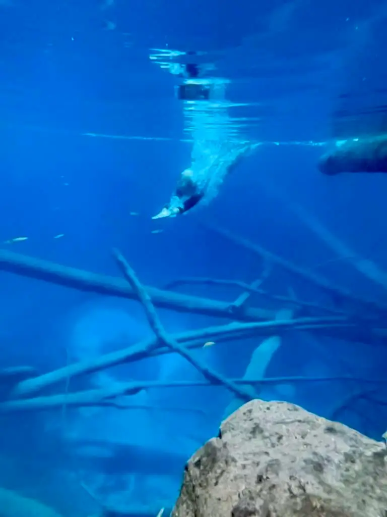 カコ湖