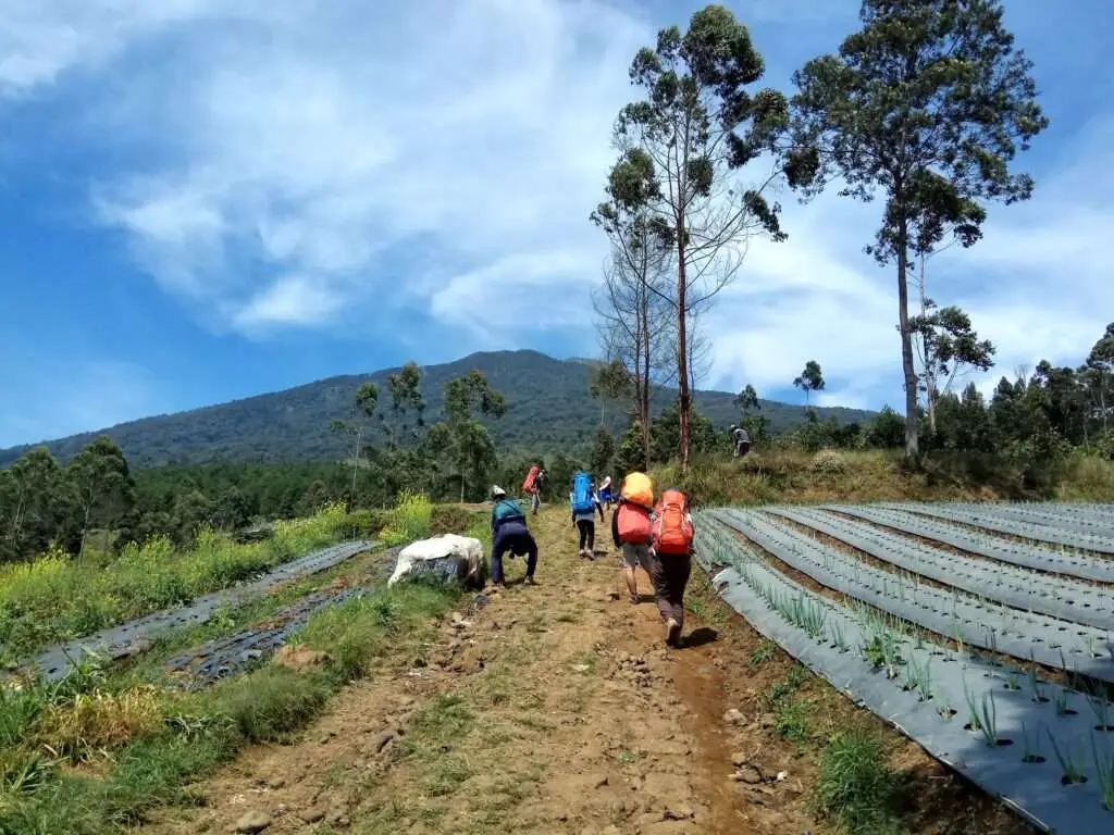 Berg Slamet