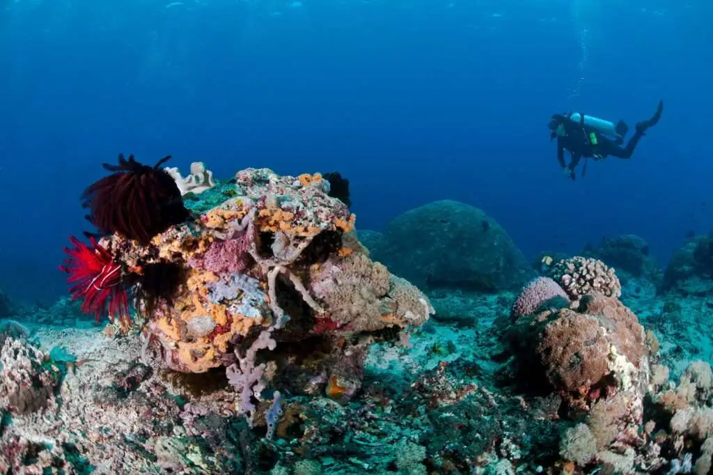 Nusa Penida