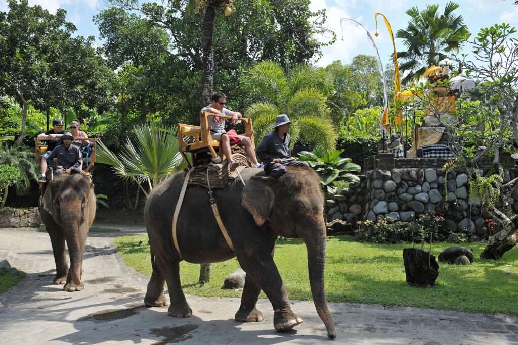 Zoo de Bali 