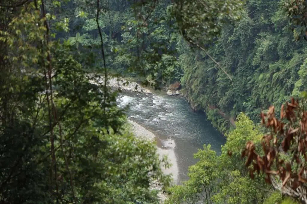 Parque Nacional de Gunung Leuser