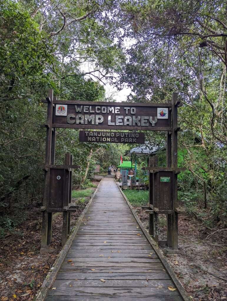Nationaal park Tanjung Puting