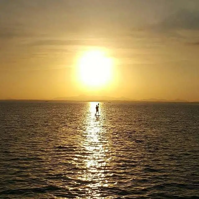 李鳳島 