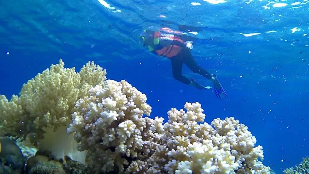  Togean-eilanden 