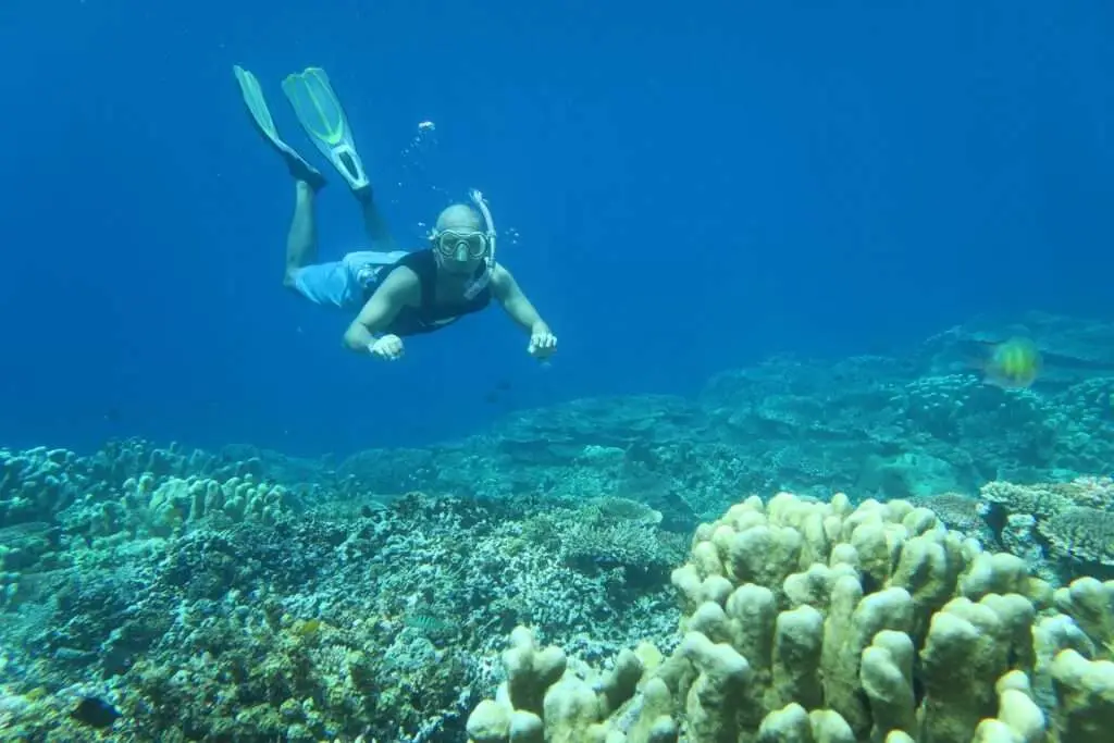 올레레 해양 공원