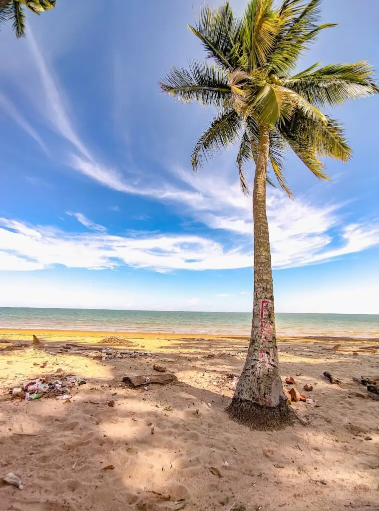 Cocoteros en la playa de Batu Lamampu en Nunukan, Indonesia, bajo el cielo azul.