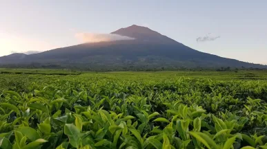 De berg Kerinci