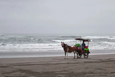 Parangtritis Strand