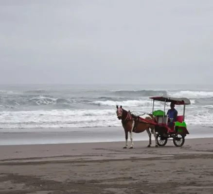 Parangtritis Strand