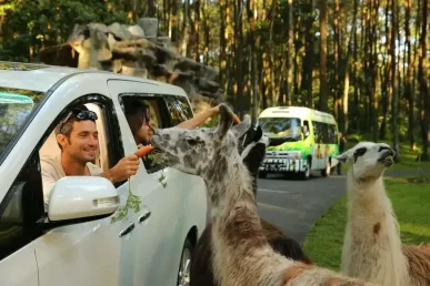 Prigen Safaripark