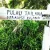 Pemandangan pulau Tailana di Paradis Island menampilkan keindahan alam tropis dengan vegetasi hijau lebat yang menawan, cocok untuk wisata alam dan relaksasi.
