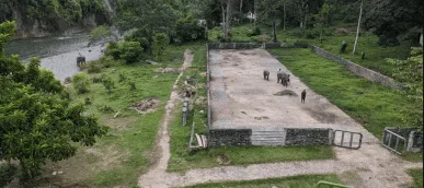 Tangkahan