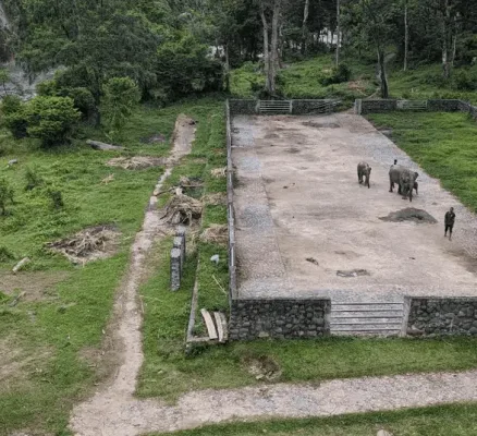 Tangkahan
