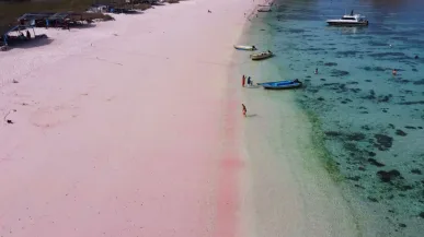 Roze strand