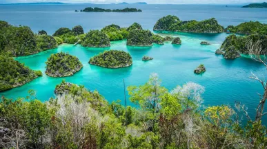 Pianemo-eilanden omgeven door azuurblauw helder water en bedekt met groene vegetatie. Raja Ampat, Westen