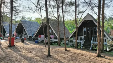 een groep huizen met bomen op de achtergrond